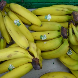 Fruit - Banane BIO