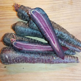 Légume - Carotte violette BIO