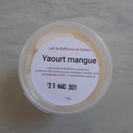 Yogourt - Yogourt de Bufflonne Mangue