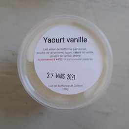 Yogourt - Yogourt de Bufflonne Vanille