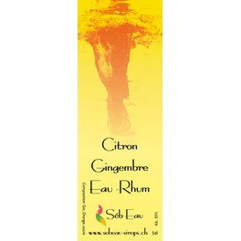 Gin & Rhum - Citron Gingembre Eau Rhum